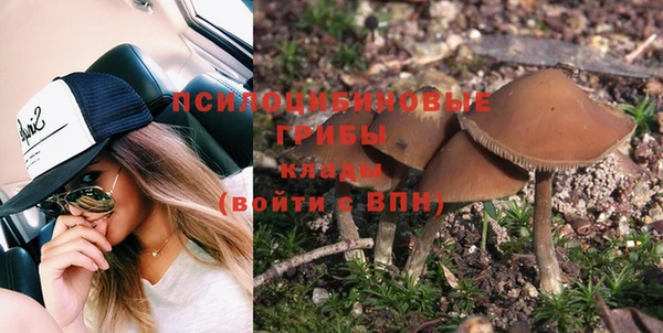 apvp Одинцово