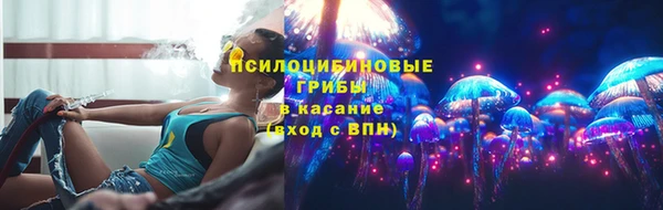 мяу мяу мука Дмитров