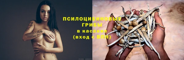 таблы Дмитровск