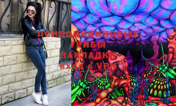 таблы Дмитровск
