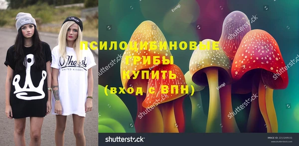 мяу мяу мука Дмитров