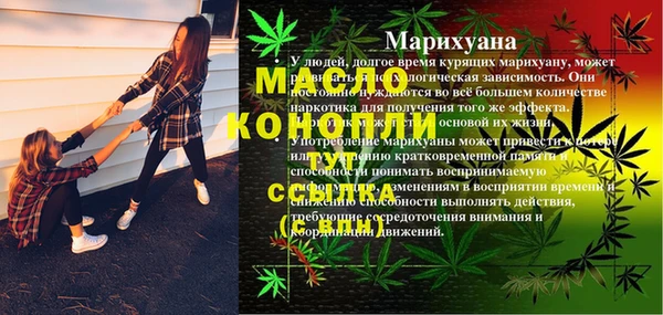 МДПВ Липки
