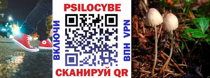 Галлюциногенные грибы Psilocybe  где можно купить наркотик  Липецк 